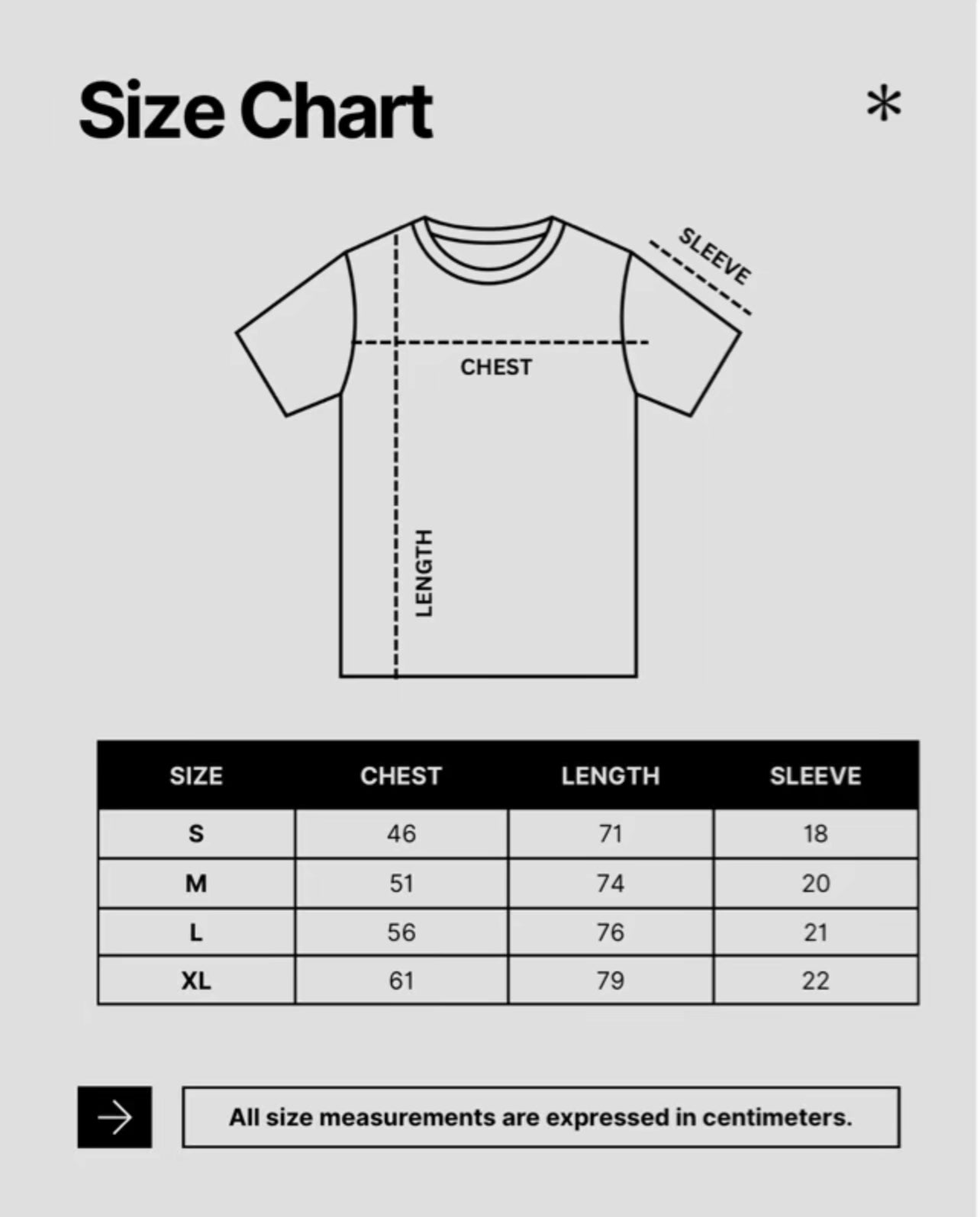 No Braver Warrior Than Imam Ali T Shirt