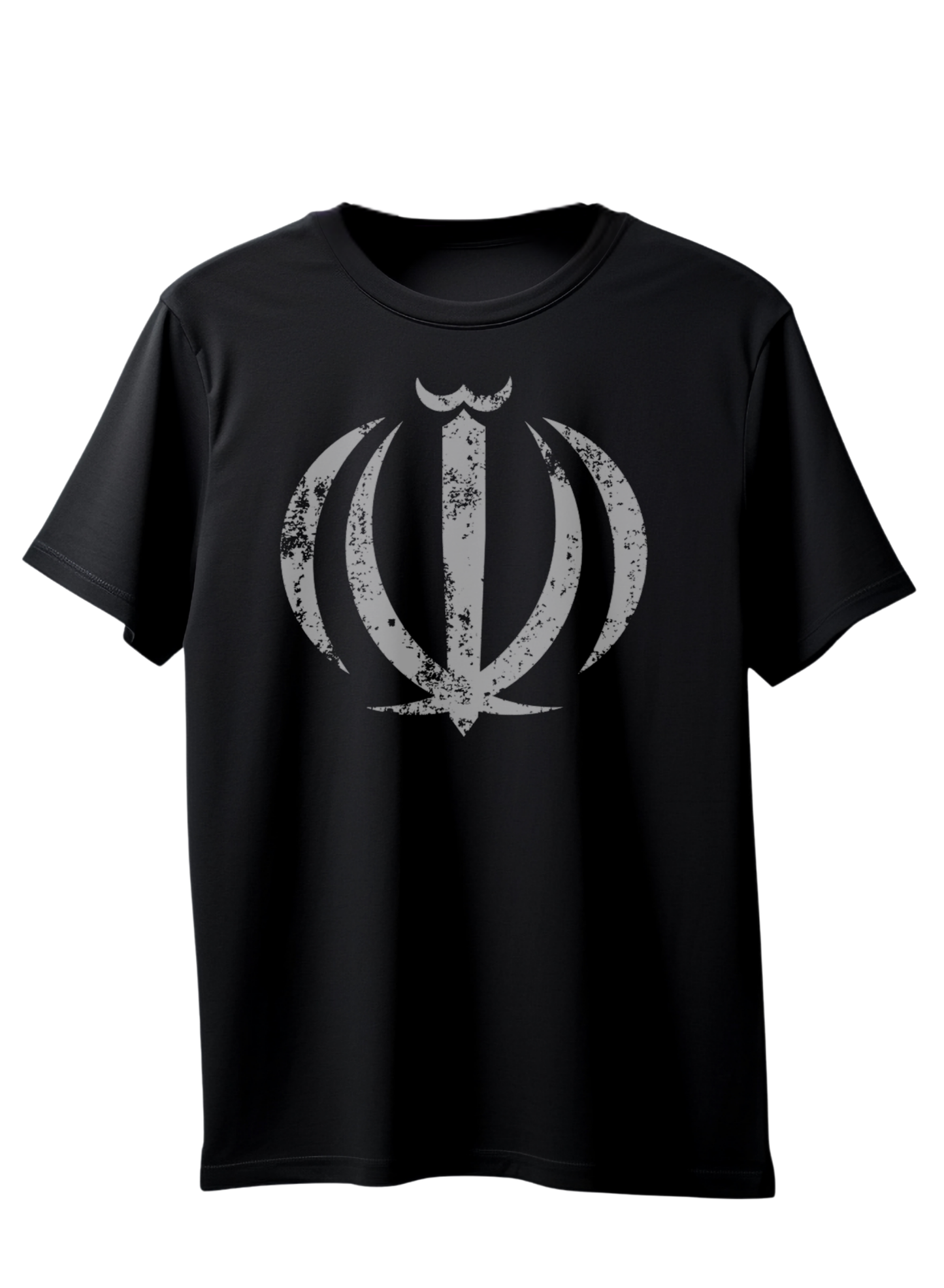 We Stand With You Iran T Shirt