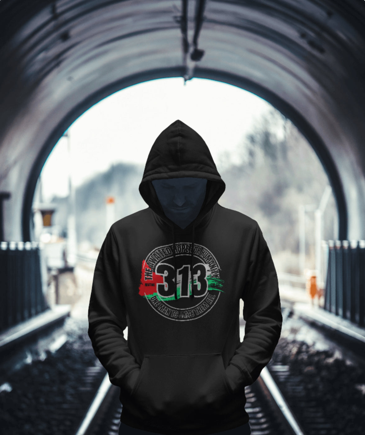 313 Palestine Hoodie