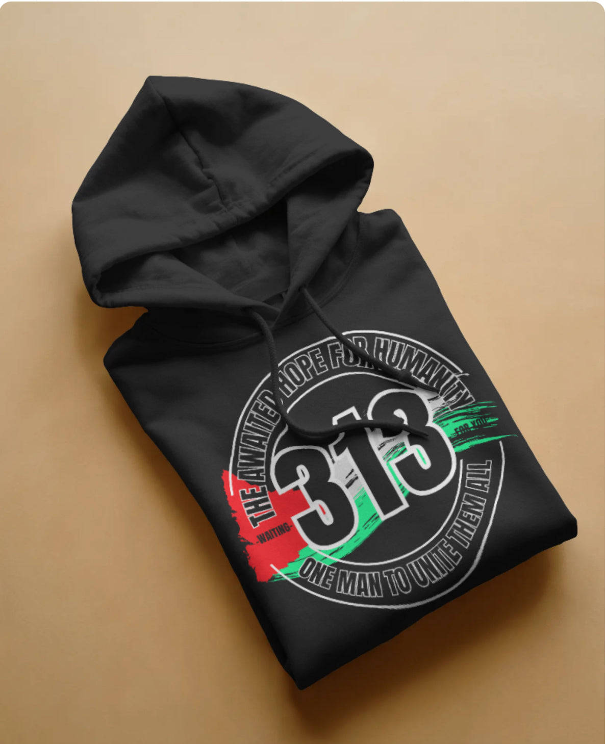 313 Palestine Hoodie