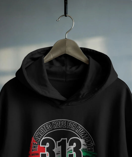 313 Palestine Hoodie